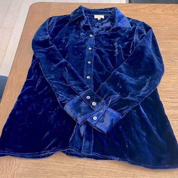 HANNA G. DESIGNED BY ARLEEN BOWMAN. RICH BLUE VELVET BUTTON BLOUSE. NEW… - Picture 4 of 13